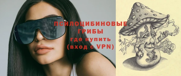 молекула духа Абинск