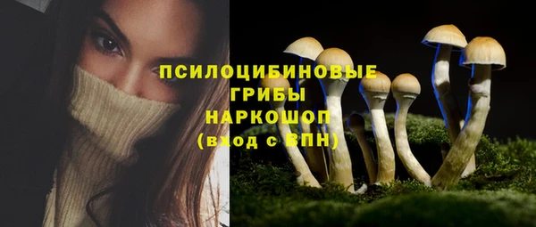 молекула духа Абинск