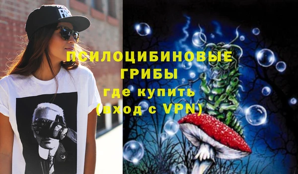 молекула духа Абинск