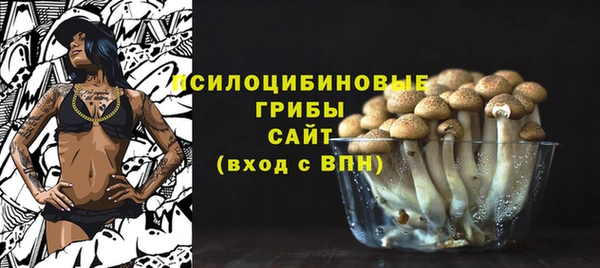 mix Абаза